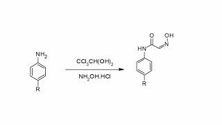 ISATIN synthesis and reactions organic chemistry group MAA2 [upl. by Philander]