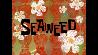 Seaweed 1  SB Soundtrack [upl. by Tiffy720]