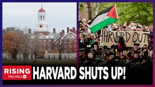 FINALLY Harvard Promises To STOP Making Political Statements [upl. by Repsag121]