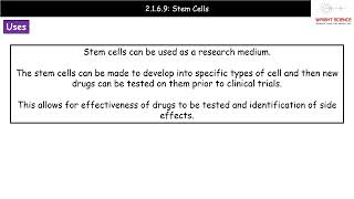 A Level Biology  2169  Stem Cells [upl. by Labinnah883]