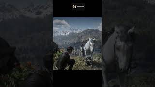 Revisiting Arthurs Grave RDR2 location rdr2 rdr2gameplay grave arthur walkthrough [upl. by Sidnee88]