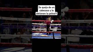 Se queja de un cabezazo y le detienen la pelea boxing boxeo box [upl. by Dazhehs]