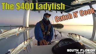 The 400 Ladyfish  Offshore Fishing Catch N Cook [upl. by Tracee]