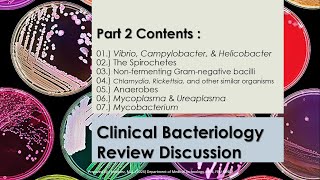 Summarized Review Discussion 02  Microbiology 1  CLINICAL BACTERIOLOGY pt2 [upl. by Hploda624]