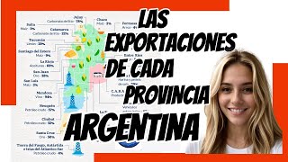 😍😍Lo que Más EXPORTA cada PROVINCIA ARGENTINA ✅💹✅El Ranking de las 23 PROVINCIAS 📊📈📈 [upl. by Ethelred]