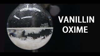 Making Vanillin Oxime Capsaicin precursor [upl. by Dimitry]