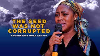 THE SEED WAS NOT CORRUPTED BY PROPHETESS ROSE KELVIN [upl. by Enylecoj699]