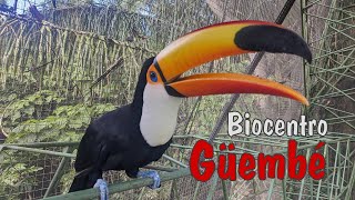 Biocentro Güembé Bolivia [upl. by Queenie]