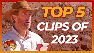 Your Favourite Coight Clips of 2023  All Aussie Adventures [upl. by Rollecnahc]