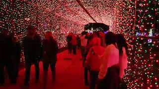 Gulfport Harbor Lights Winter Festival [upl. by Ball]