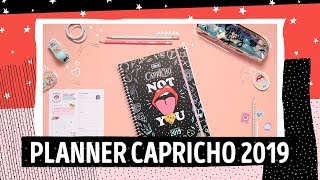 PLANNER CAPRICHO 2019 [upl. by Cullen]