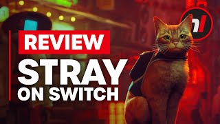 Stray Nintendo Switch Review  Is It Worth It [upl. by Anit398]