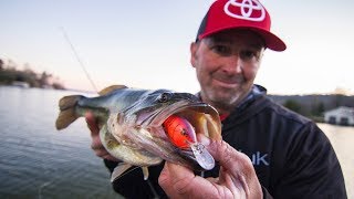 Crankbait Fishing Lake Guntersville for Springtime Bass [upl. by Oiliduab]