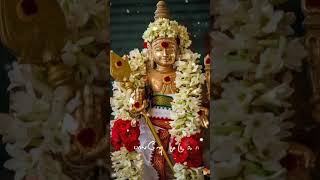 Alagendra Sollukku Muruga song Murugan WhatsApp status Tamil [upl. by Suhpesoj803]