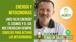 ENERGÍA Y MITOCONDRIAS  Néstor Palmetti [upl. by Birch]