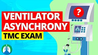 Breathing Asynchronously with the Ventilator TMC Practice Question [upl. by Nimajaneb773]