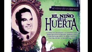 EL NIÑO DE LA HUERTA FANDANGOS [upl. by Attennek]