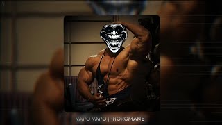 VAPO VAPO SLOWED  TIKTOK VERSION  PHOROMANE [upl. by Alliuqahs835]