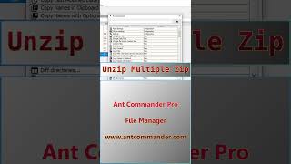 Uncompress Multiple Zip Files on Windows unpack files filemanager [upl. by Lauer]