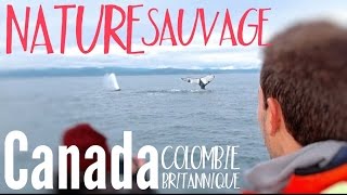 COLOMBIEBRITANNIQUE  le paradis des AMOUREUX de la NATURE [upl. by Annais]