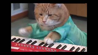 Keyboard cat 1984 original vs REINCARNATED [upl. by Gambrill984]