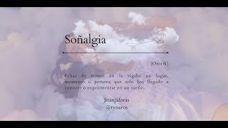 Tyna Ros  Soñalgia Visualizer y lyric video [upl. by Raybin]