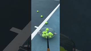 Tennis Ball Elite Easy Court Collection for the Discerning Player tennisball tennisracket [upl. by Aihsit]