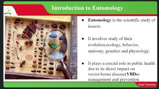 Introduction to Entomology [upl. by Anjela473]