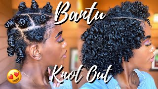 I TRIED BANTU KNOTS ON WET NATURAL HAIR amp SIS THESE RESULTSI AM SHOCKED [upl. by Subocaj]