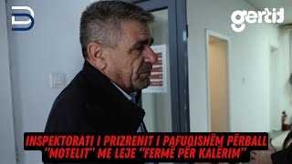 Inspektorati i Prizrenit i pafuqishëm përball motelit me leje fermë për kalërim [upl. by Ednalrym934]