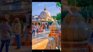 Ya Khwaja Garib Nawaz 🥰🌺viralvideo shortvideo subscribe trending shortvideo [upl. by Ahsoek]