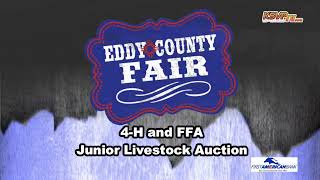 2022 Eddy County Fair 4H and FFA Junior Livestock Auction [upl. by Ayad21]