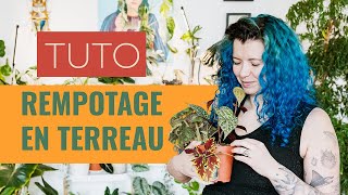 🪴 TUTO Rempotage complet en Terreau 👩‍🌾 [upl. by Nial]