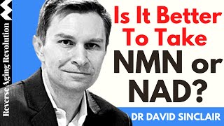 IS IT BETTER TO TAKE NMN OR NAD  Dr David Sinclair Interview Clips [upl. by Bonar734]