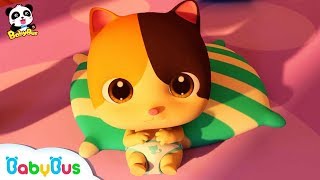 Bayi Kucing Super Lucu amp Imut  Lagu Anak amp Kartun Anak  Bahasa Indonesia  BabyBus [upl. by Elinor]