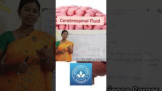 Cerebrospinal Fluid CSF cerebrospinalfluid functionsofcsf deepikasciencecorner sciencetopics [upl. by Soren425]