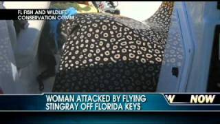 Giant Stingray Attacks Woman Off Florida Keys [upl. by Gurango]