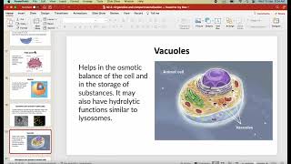 IB Biology B22 Organelles and compartmentalisation first exams in 2025 [upl. by Handbook]