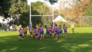 Rosmini College vs Takapuna Grammar  Youth 16  25062022 Tups3000 [upl. by Ihtraa]