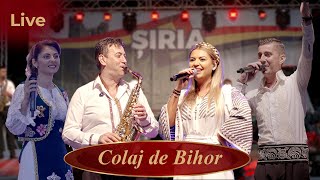 Colaj muzica de Bihor  Live  Formatia Florin Ionas Generalul  Zilele Siriei [upl. by Romeo545]