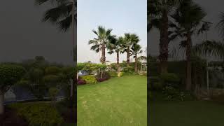 Farmlands For Sale In Noida Near Delhi Greater Noida Yamuna Expressway farm farmland farmlands [upl. by Ezequiel]