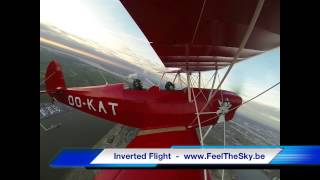 Aerobatic Flight with wwwFeelTheSkybe [upl. by Hanafee]