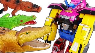 초거대 슈퍼악어 등장 미니특공대 최강 4단합체 고고  두두팝토이 Ultra Giant Crocodile VS Miniforce [upl. by Ayanad]