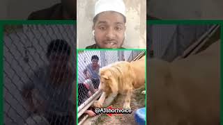 Har Sher Shareef Nehi Hota😍😱 motivation shorts explore viralshorts youtubeshorts a1shortvoice [upl. by Casimire]