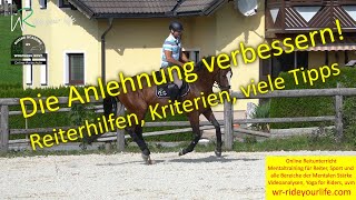 F171 Die Anlehnung darum ist sie so wichtig Dehnung an den Außenzügel Fleiß vs Eilig im Schritt [upl. by Joy]