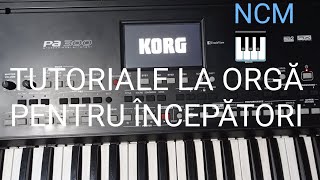 BATE VÂNTUL PRIN PĂDURI  Ion Dolănescu TUTORIAL LA ORGĂ 🎹 [upl. by Lednar834]