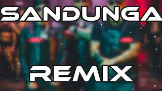 SANDUNGA REMIX  DON OMAR ✘ WISIN ✘ YANDEL ✘ DJ GUSTAVO CRUZ [upl. by Rusell899]