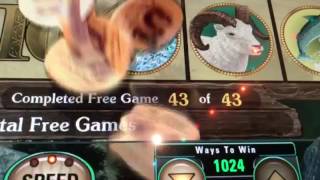 Awesome slot machine bonus hit Northern lights bear paw [upl. by Elirpa582]