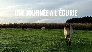 UNE JOURNÉE À L’ÉCURIE 🐴 [upl. by Oderf]