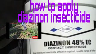 how to apply diazinon insecticides [upl. by Turnbull407]